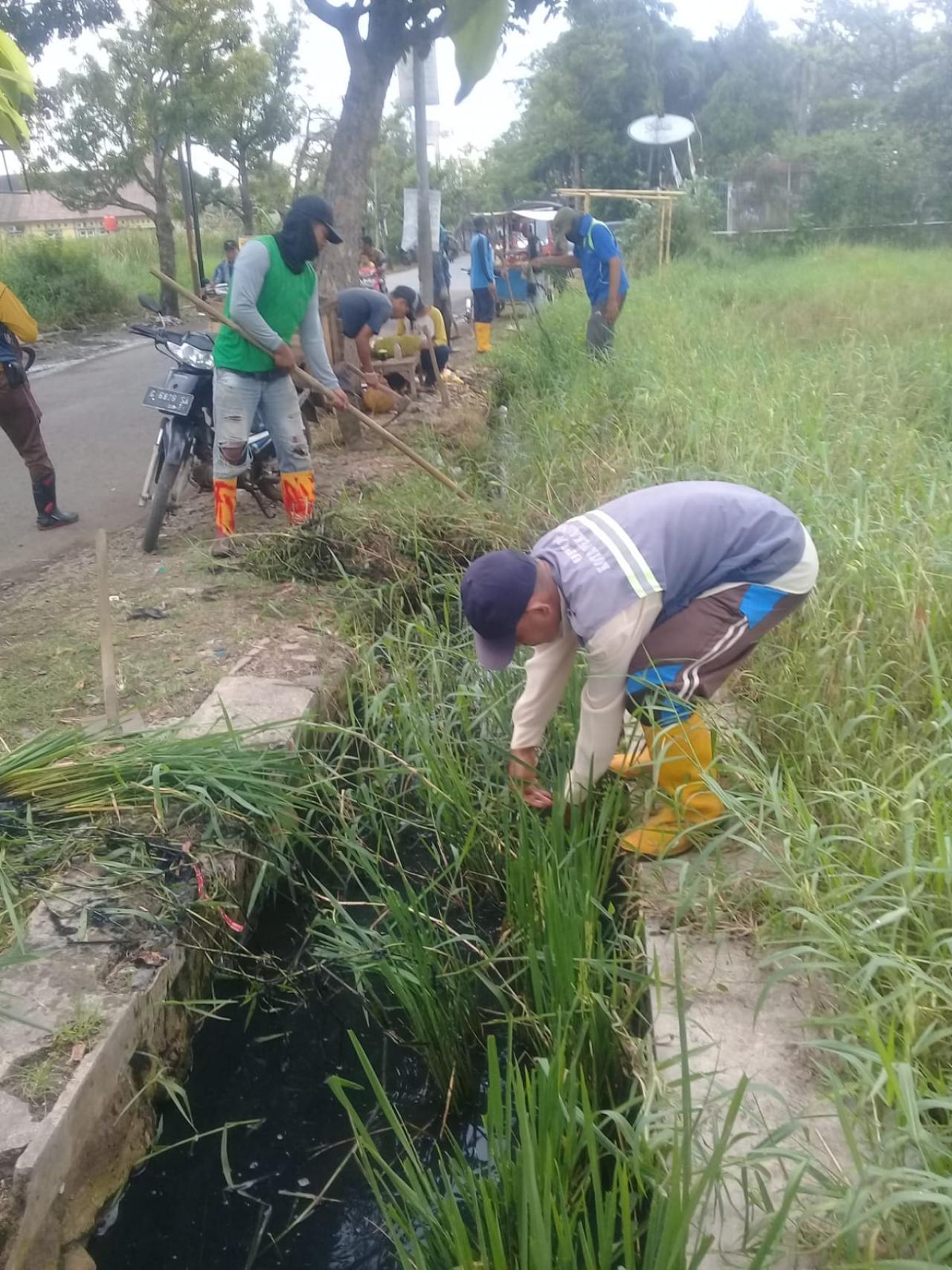 Babat Rumput Di Jalan Pelita Dinas Pekerjaan Umum Dan Penataan