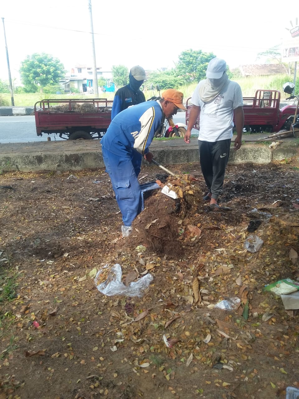 PembeRsihan Taman Wilis