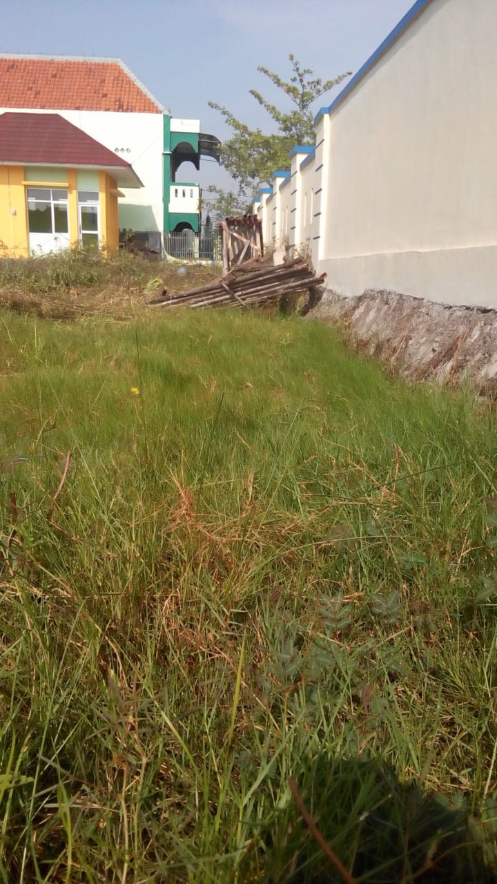 BABAT RUMPUT DI JALAN KUSUMA BANGSA 