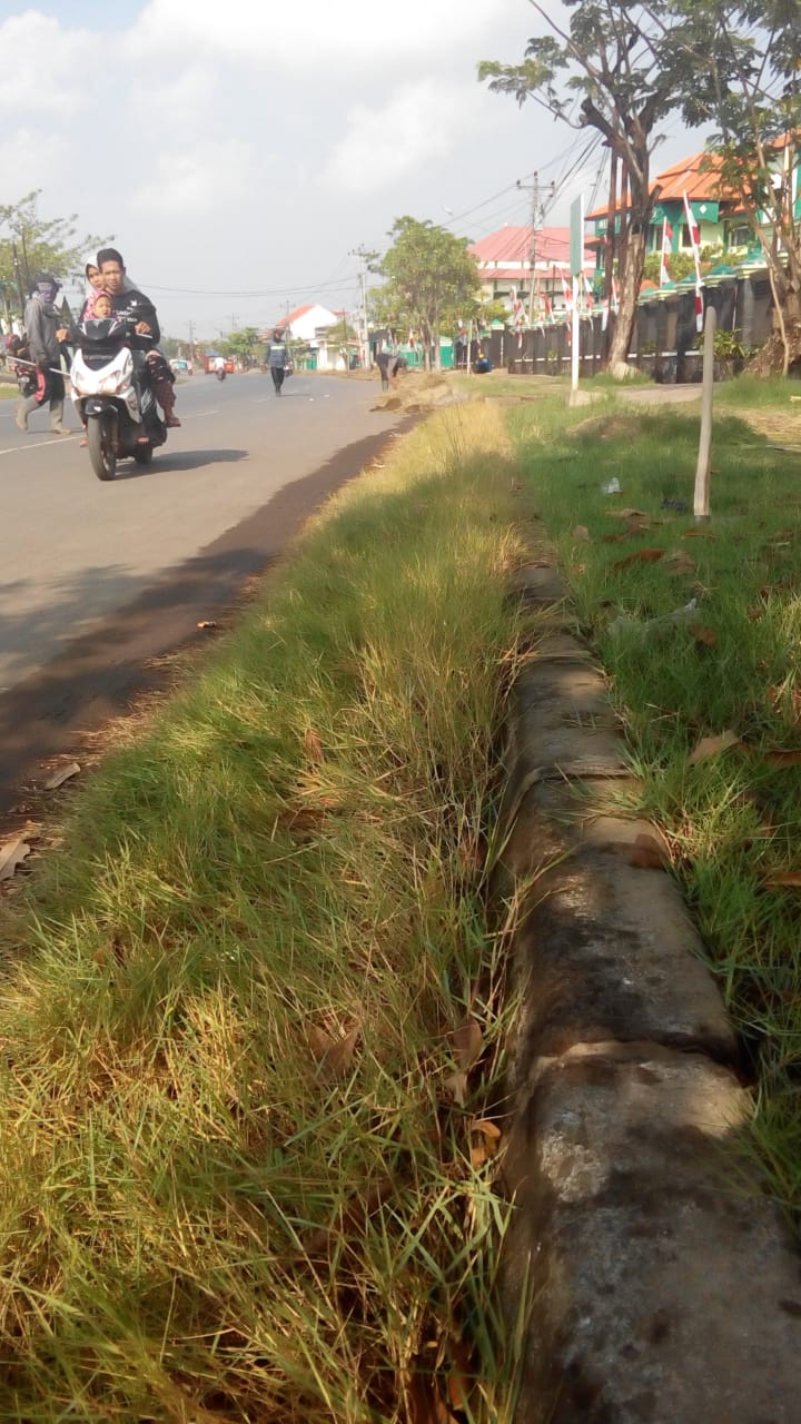  BABAT RUMPUT DI JALAN KUSUMA BANGSA 