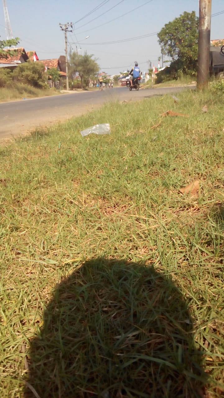 BABAT RUMPUT JALAN KUSUMA BANGSA