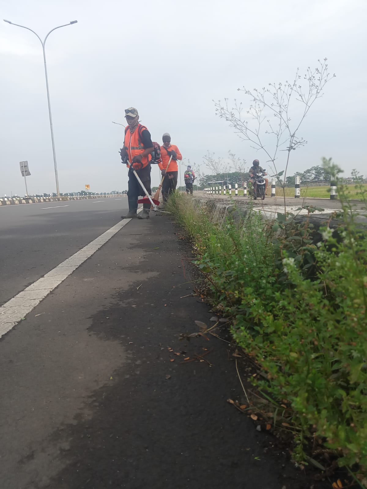 BABAT RUMPUT JALAN ACHMAD ALF ARSLAN DJUNAID 