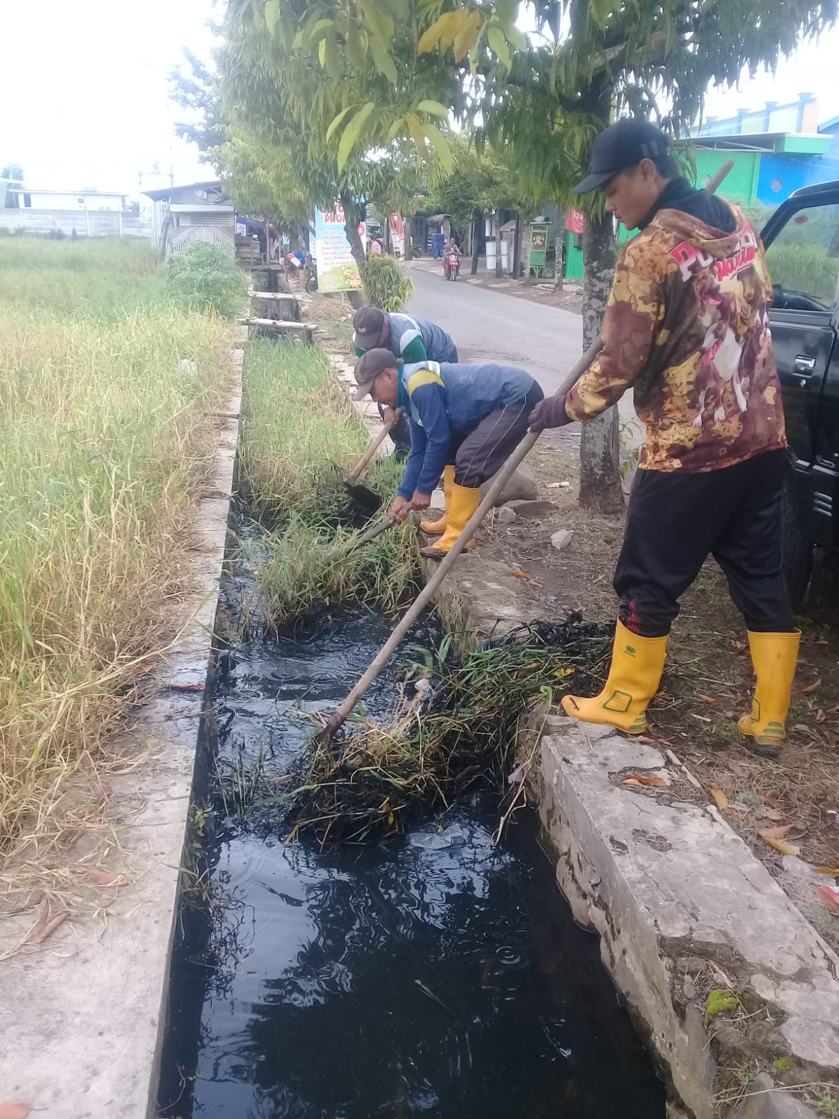 BABAT RUMPUT DI JALAN PELITA 2