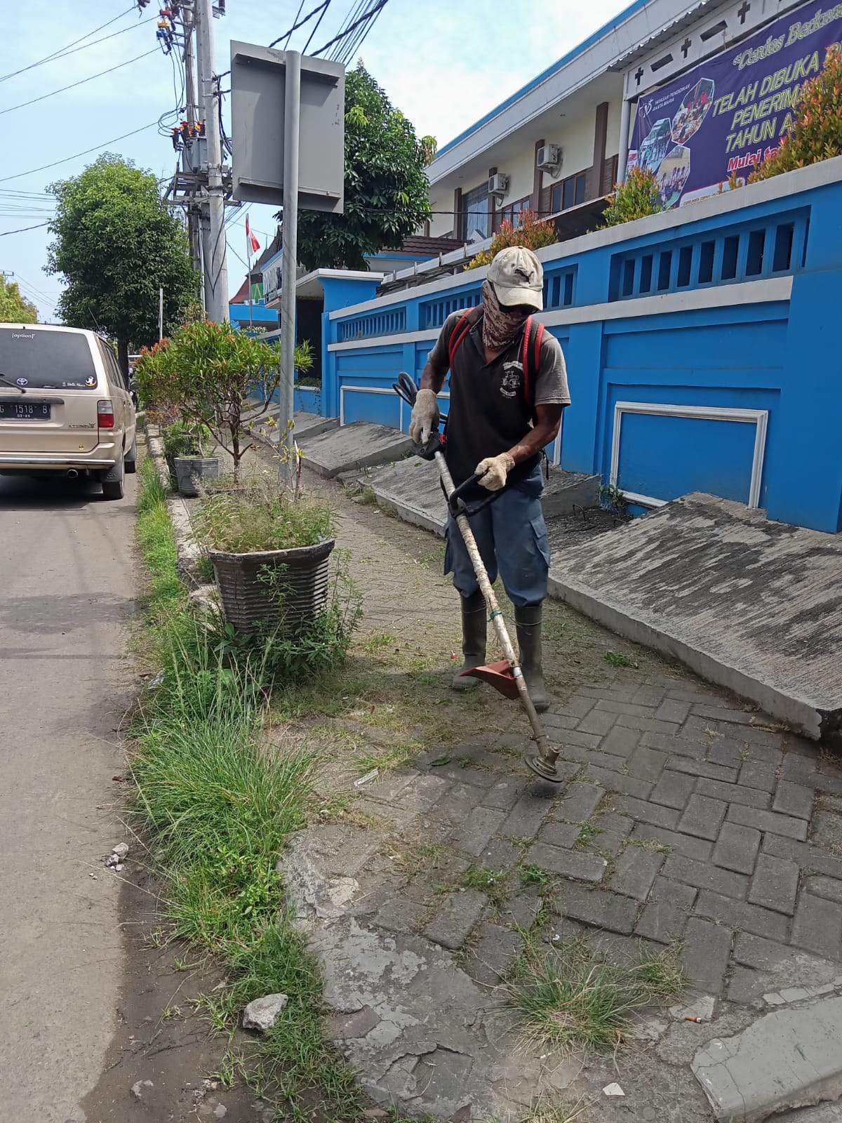  BABAT RUMPUT DI JALAN PROGO 