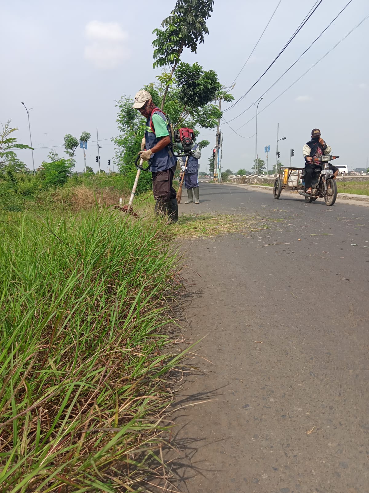 BABAT RUMPUT JALAN AMPERA