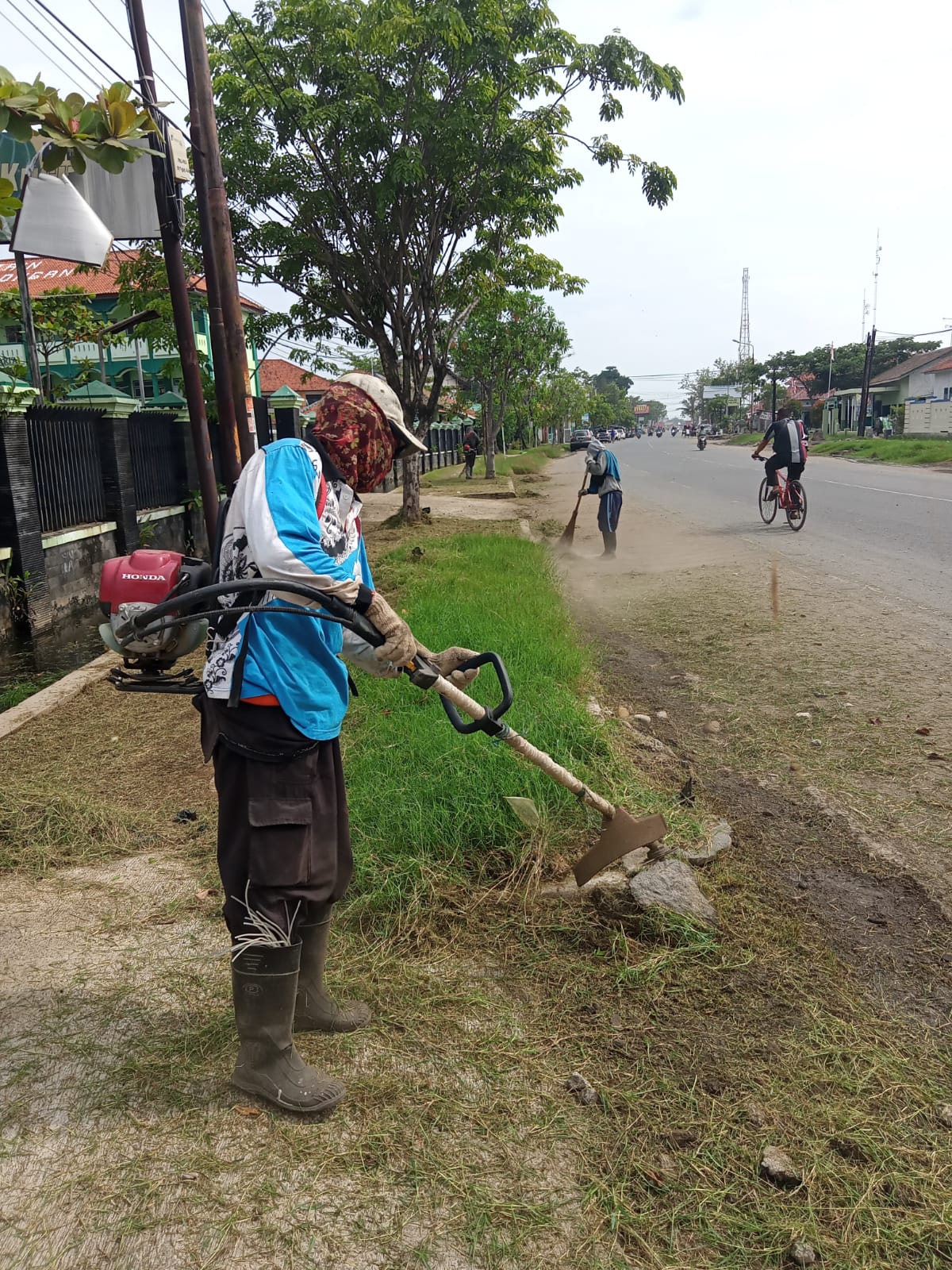 BABAT RUMPUT DI JALAN KUSUMA BANGSA