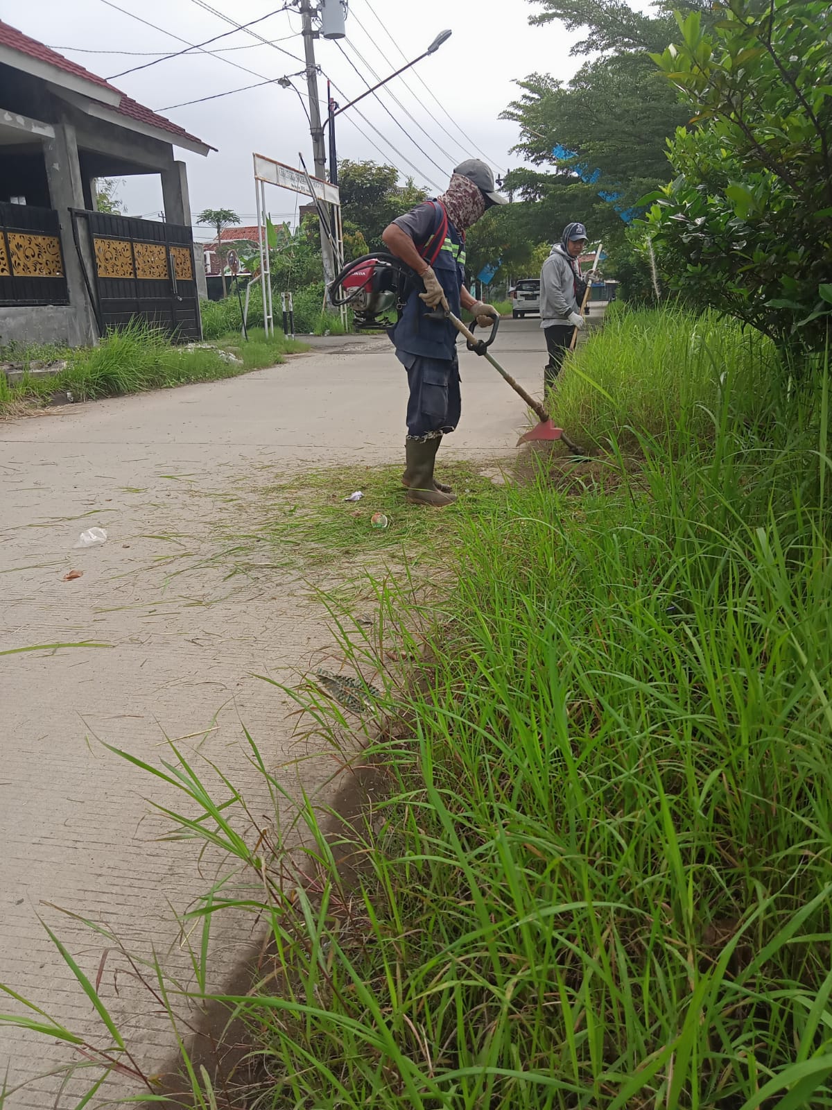 BABAT RUMPUT JALAN BUMIREJO