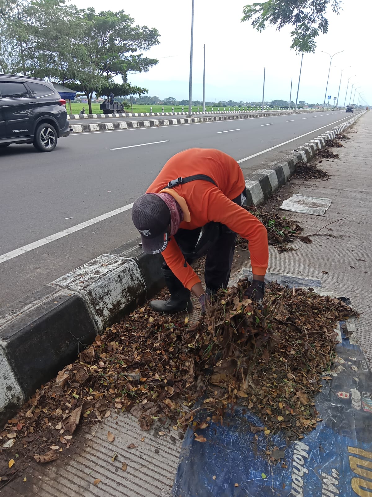 BABAT RUMPUT DI JALALN ACHMAD ALF DJUNAID