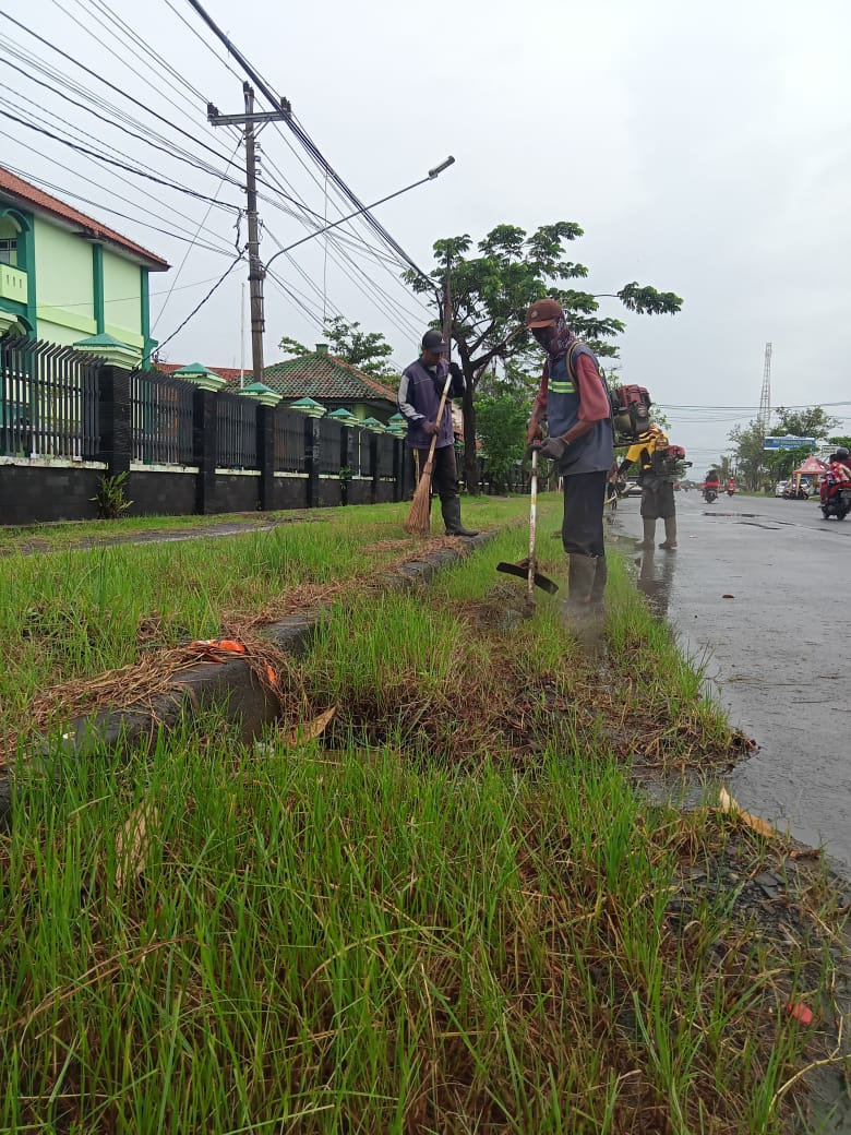 BABAT RUMPUT DI JALAN KUSUMA BANGSA