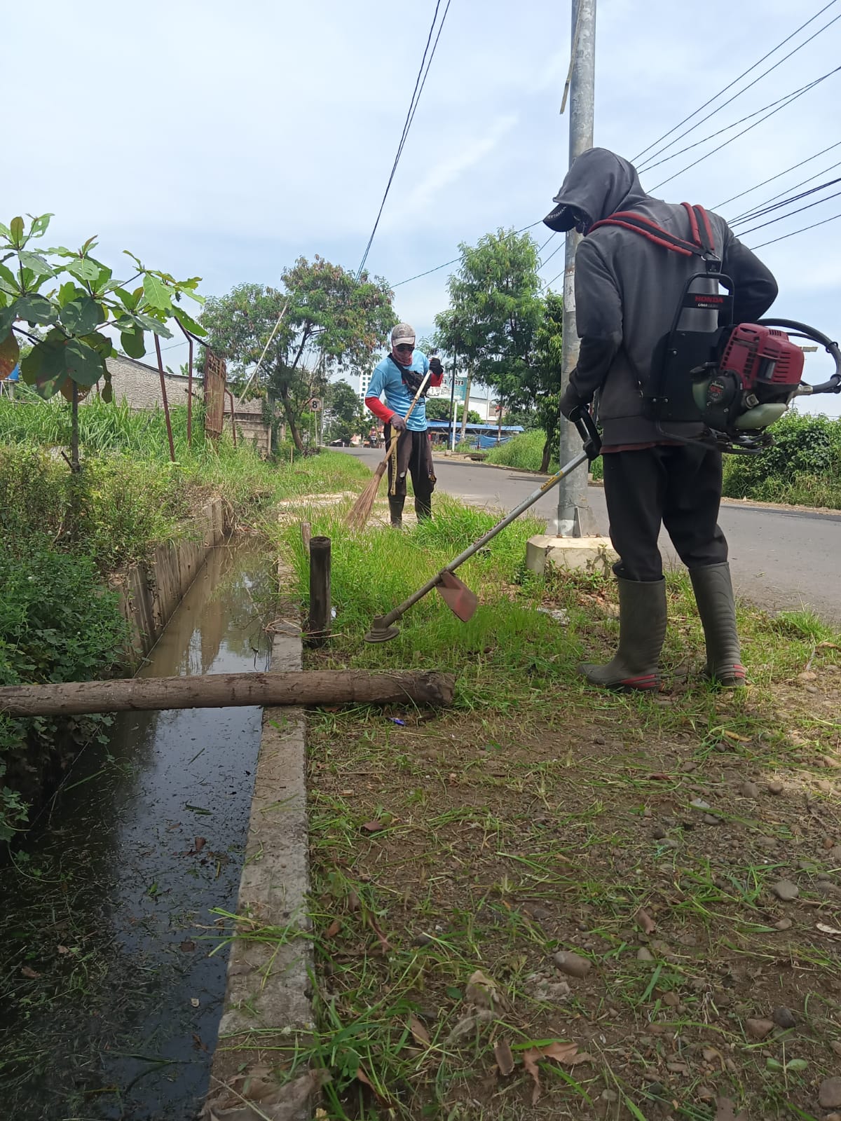 BABAT RUMPUT DI JALAN ACHMAD DJUNAID