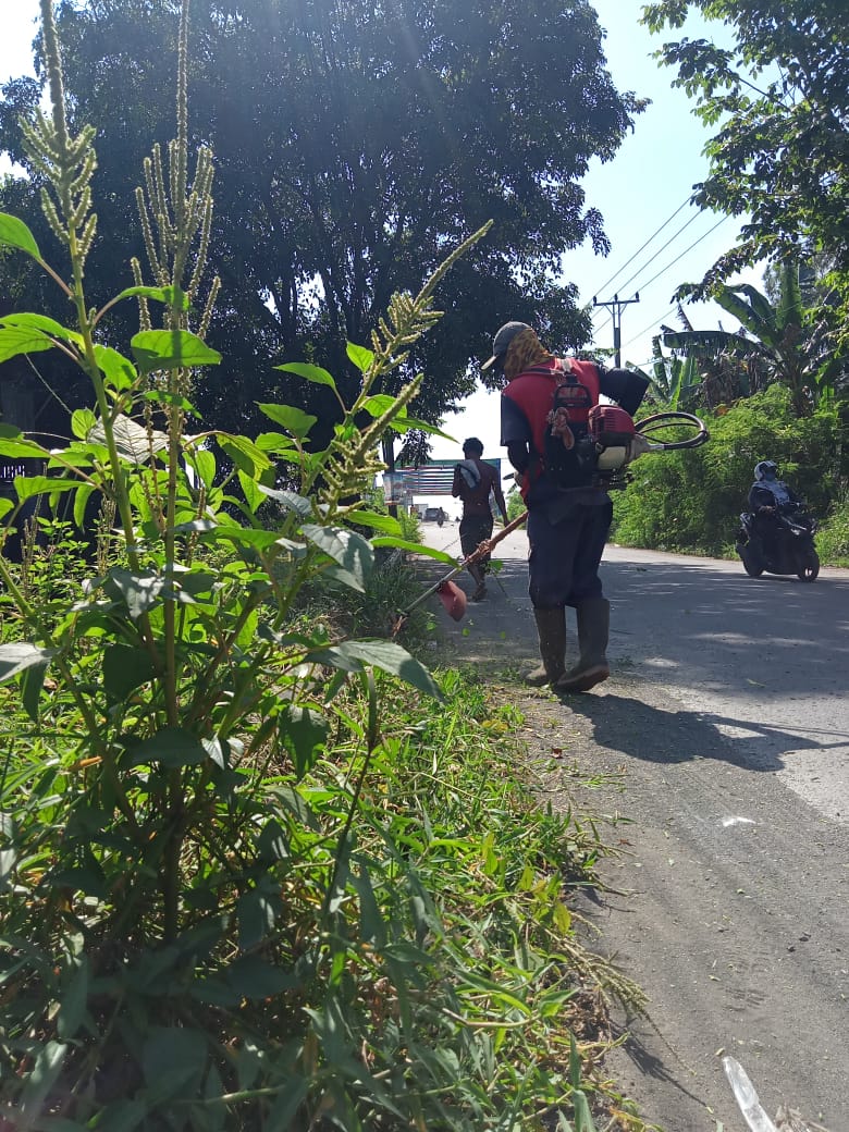BABAT RUMPUT DI JALAN SERUNI