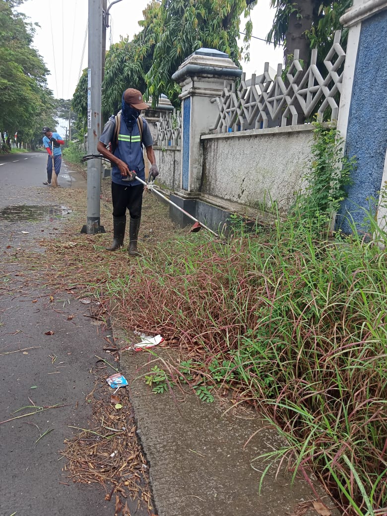 BABAT RUMPUT DI JALAN KAPTEN PATIMURA