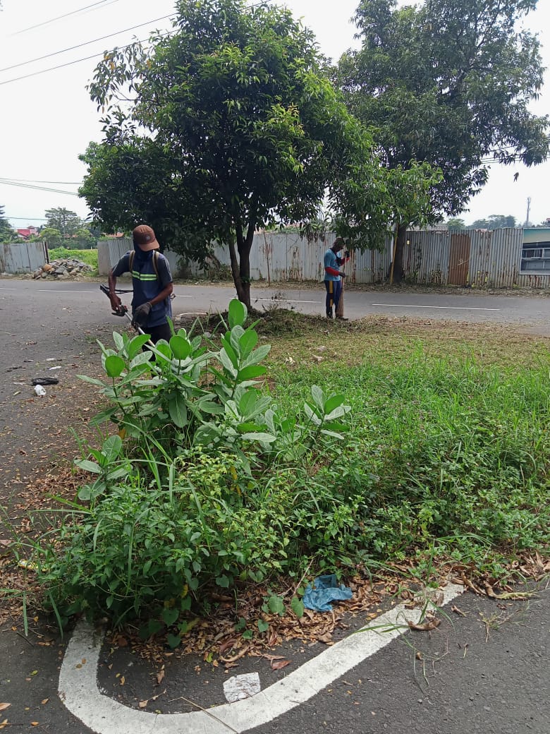 BABAT RUMPUT JALAN KAPTEN PATIMURA