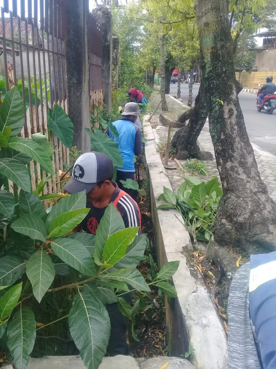 PEMBERSIHAN SALURAN PEMATUS JALAN PROGO