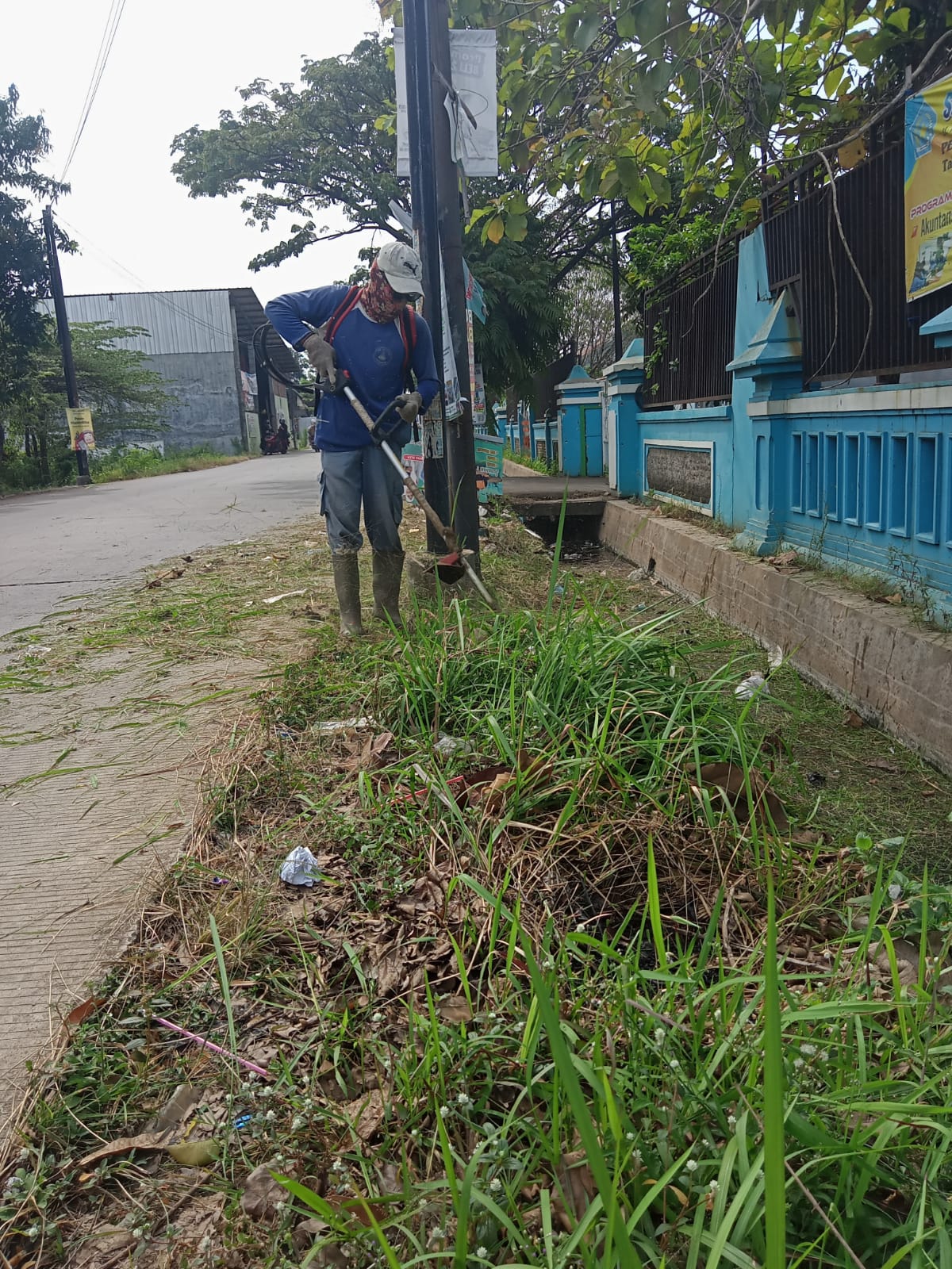 BABAT RUMPUT DI JALAN KI MANGUNSARKORO