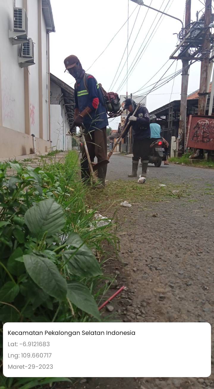 BABAT RUMPUT DI JALAN PELITA I