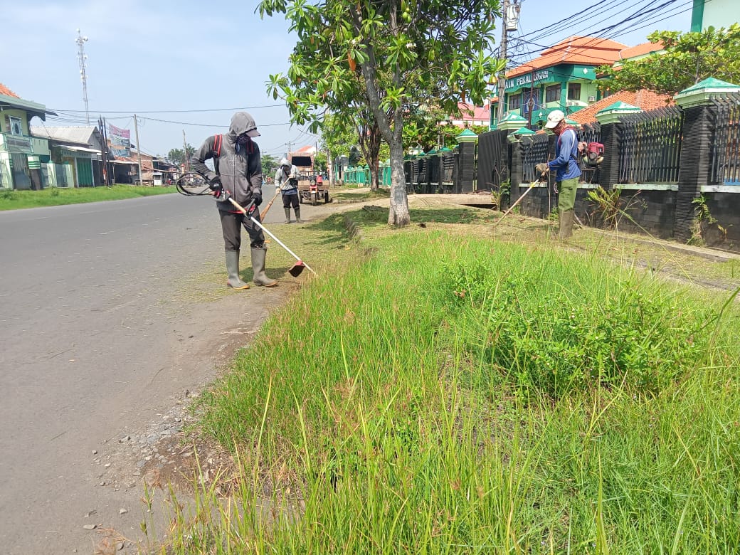 BABAT RUMPUT DI JALAN KUSUMA BANGSA