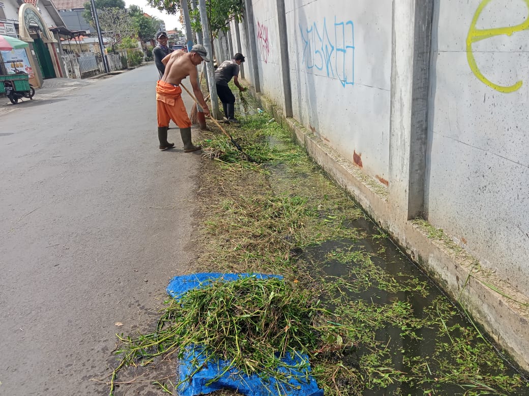 BABAT RUMPUT DI JALAN SEMARANG DAN SURABAYA