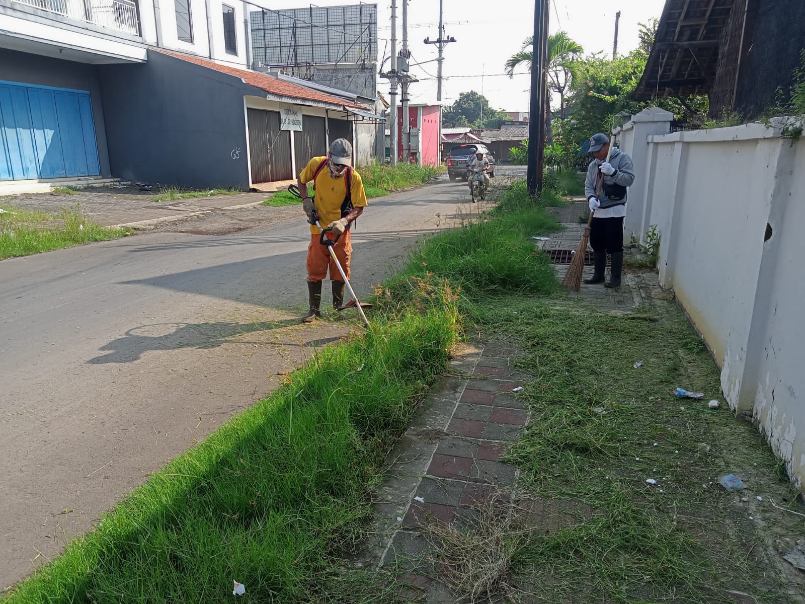 BABAT RUMPUT DI JALAN ABDULLAH HAMID ALHINDUN
