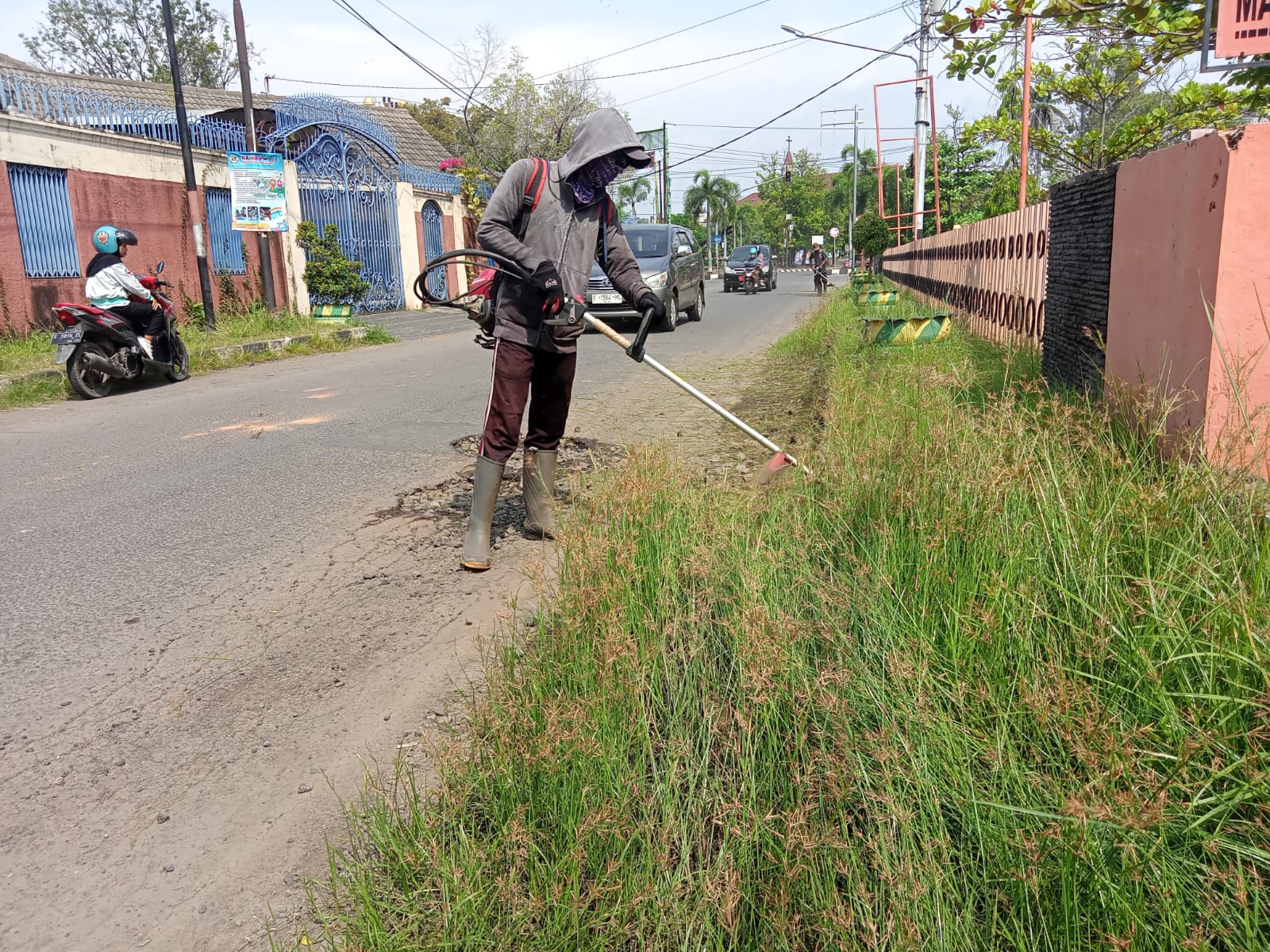 BABAT RUMPUT DI JALAN KUTILANG DAN MERAK