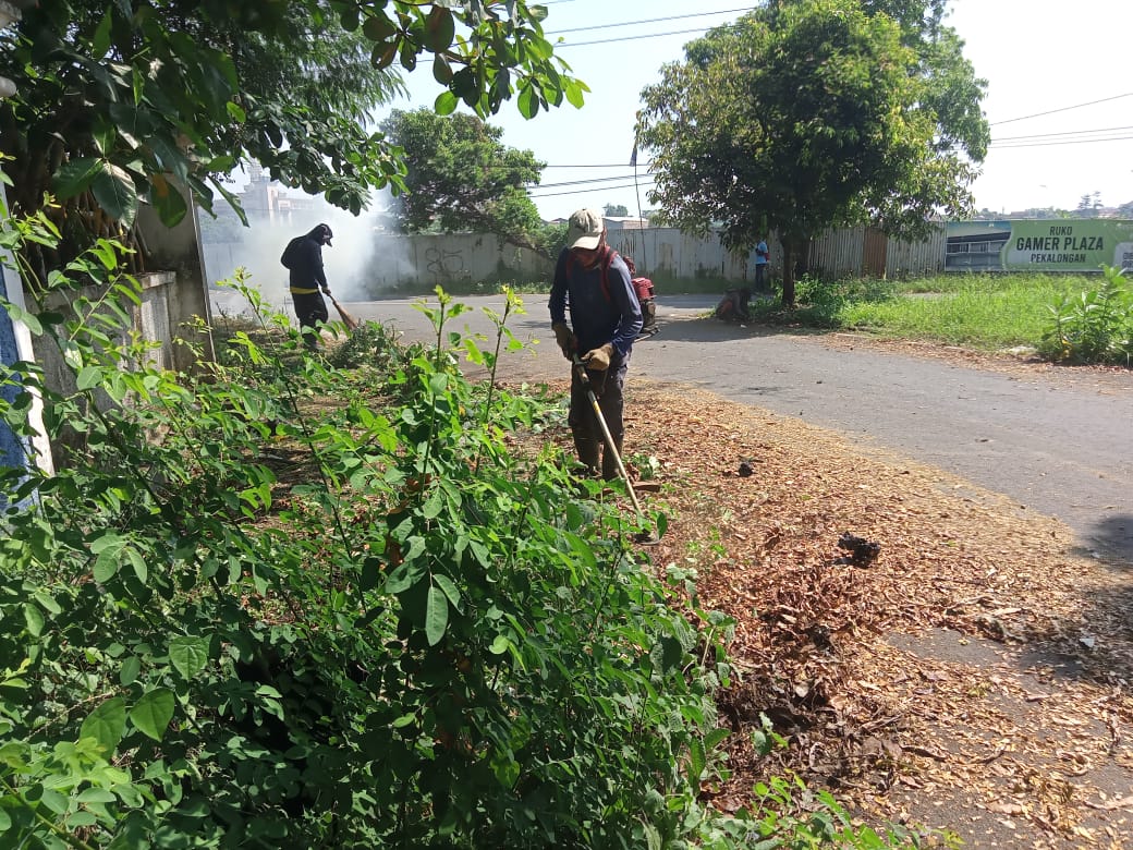 BABAT RUMPUT DI JALAN PATIMURA