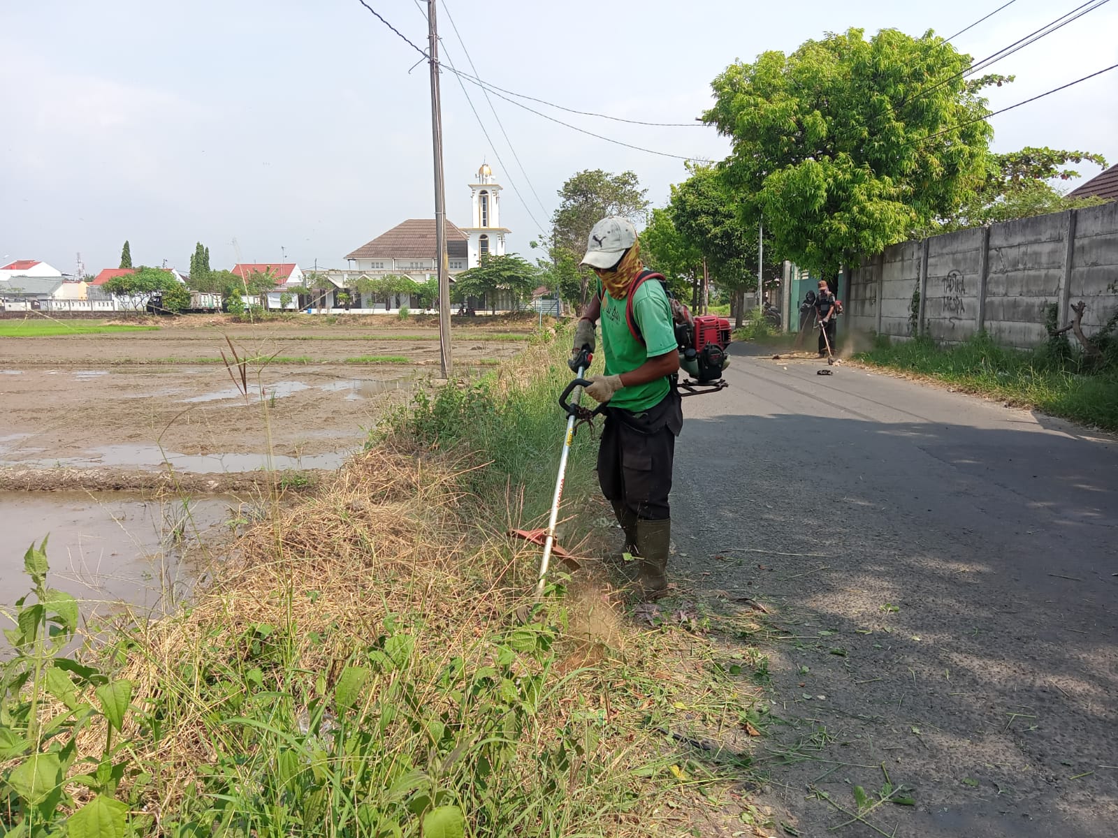 BABAT RUMPUT DI JALAN PATUMURA