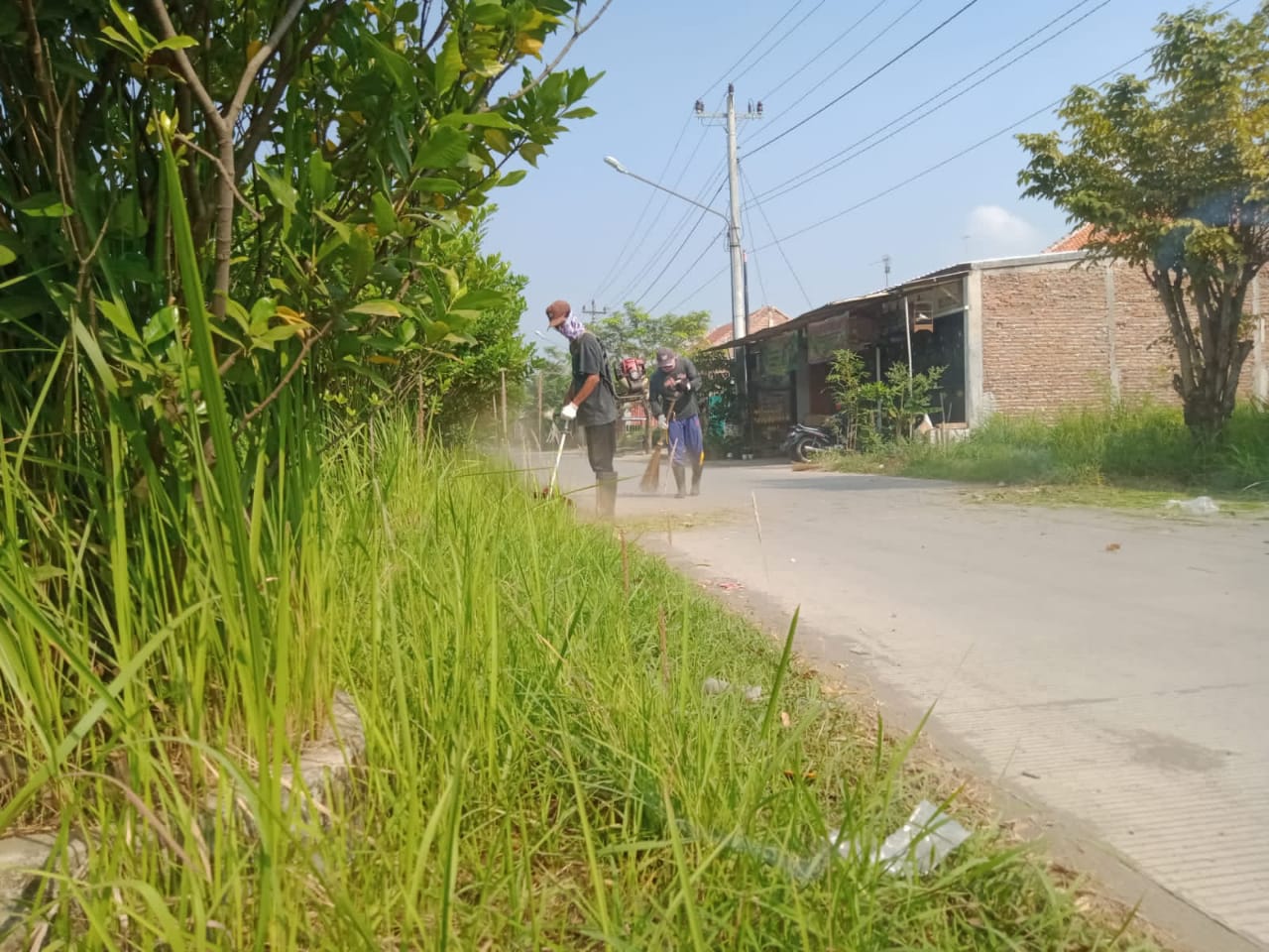 BABAT RUMPUT DI JALAN BUMIREJO