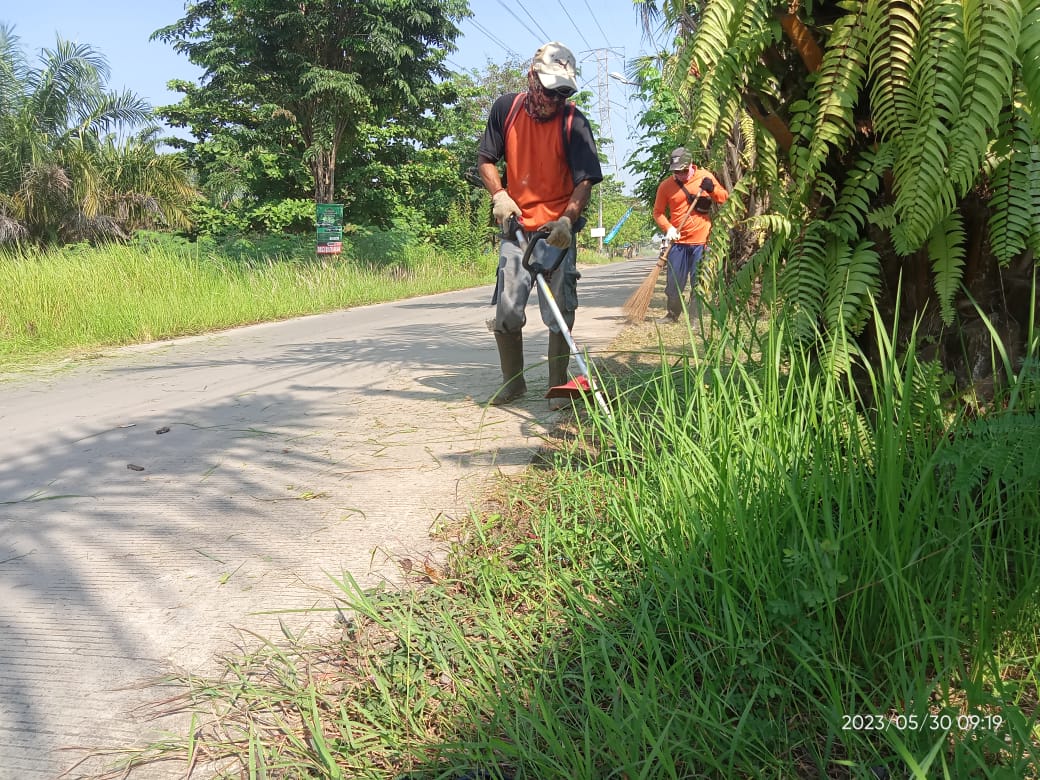 BABAT RUMPUT DI JALAN BUMIREJO