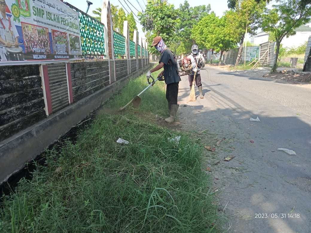 BABAT RUMPUT DI JALAN BUMIREJO 2 DAN ACHMAD DJUNAID