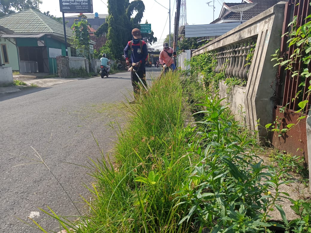 BABAT RUMPUT DI JALAN ASEMBINATUR
