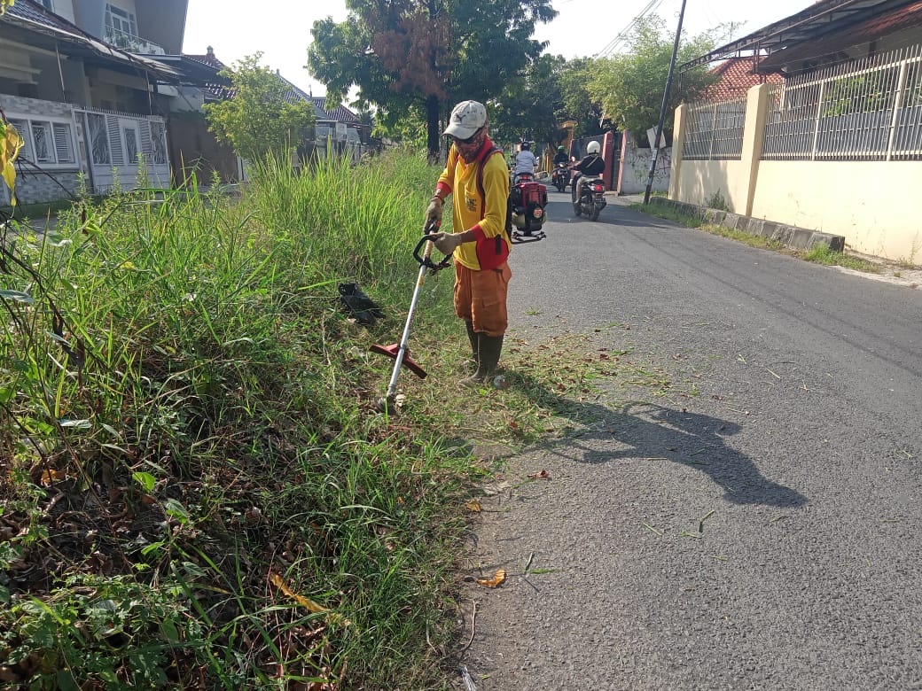 BABAT RUMPUT DI JALAN ASEMBINATUR