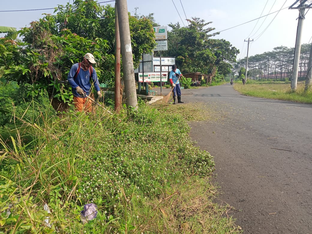 BABAT RUMPUT DI JALAN IR. SUTAMI