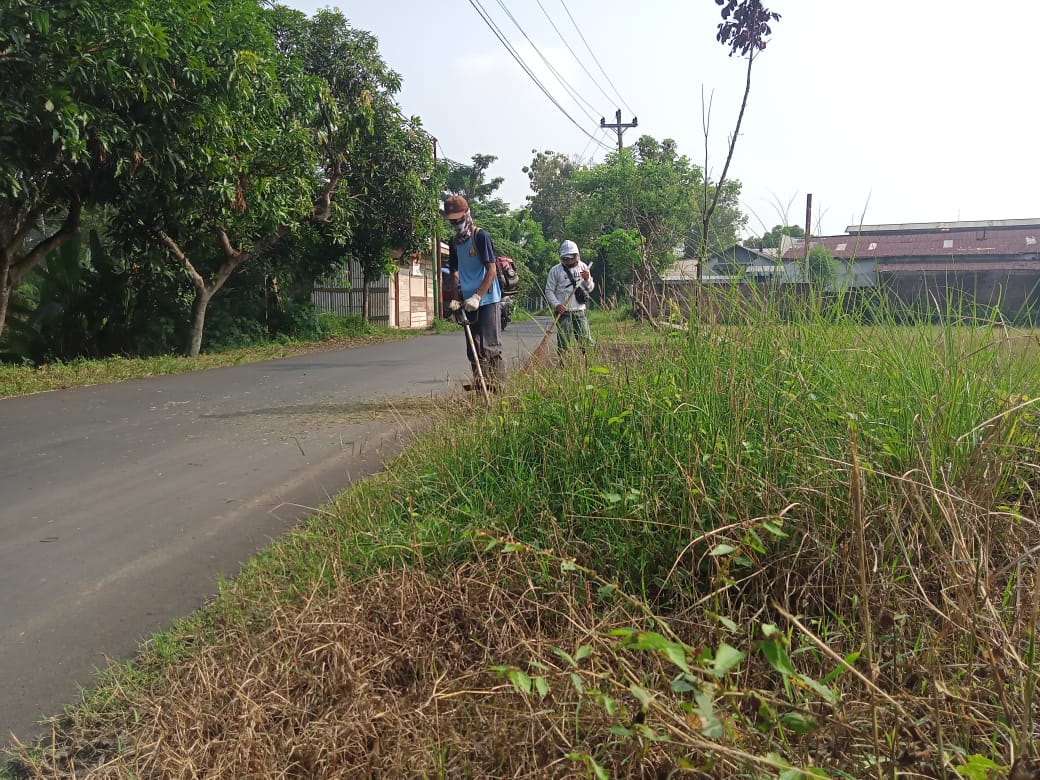 BABAT RUMPUT DI JALAN IR. SUTAMI
