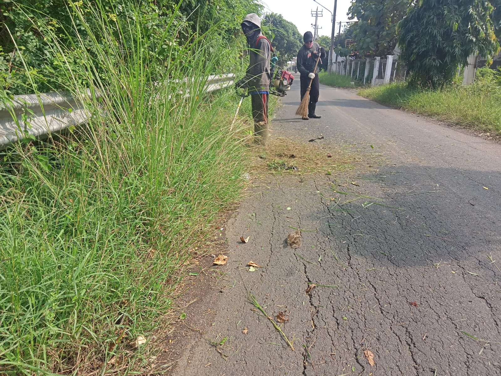 BABAT RUMPUT DI JALNA IR. SUTAMI