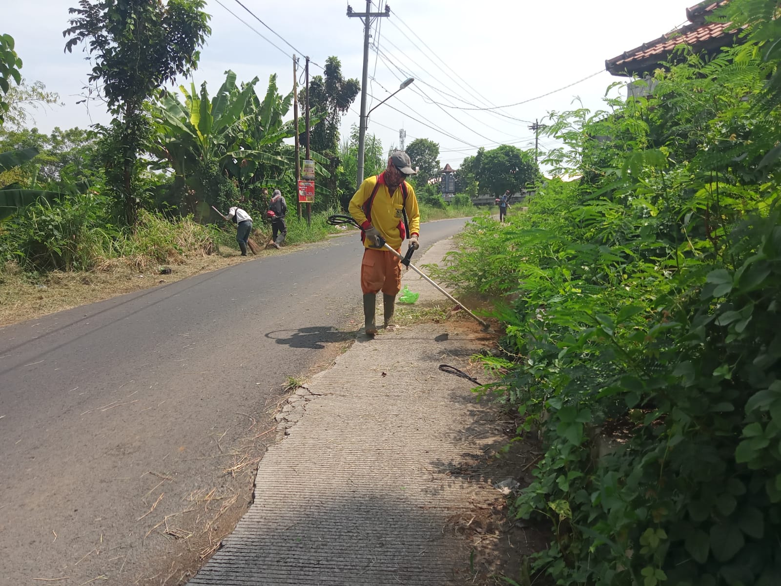 BABAT RUMPUT DI JALAN IR. SUTAMI