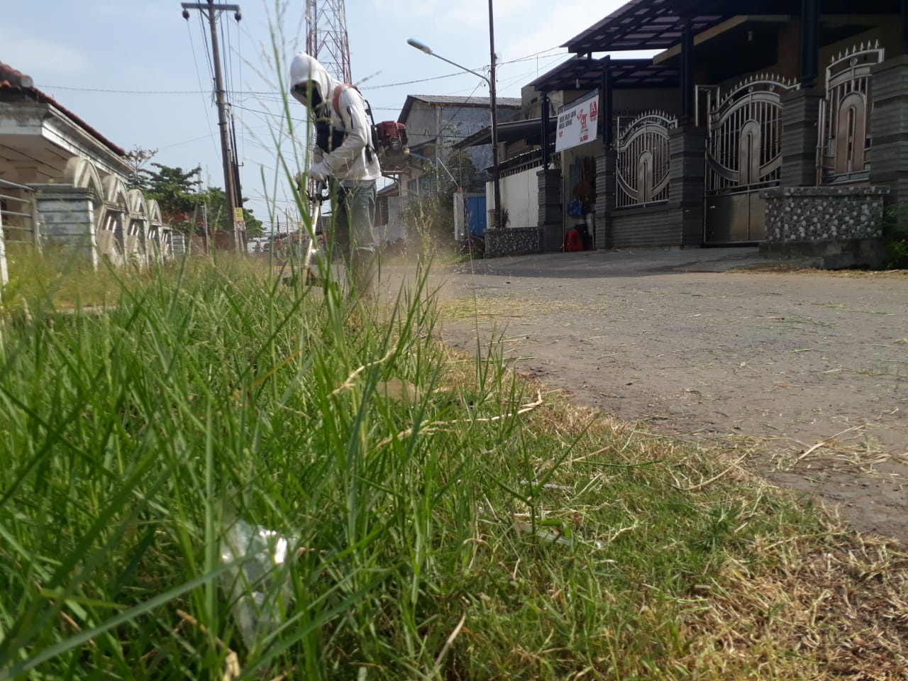 BABAT RUMPUT JALAN SELAT SELAYAR