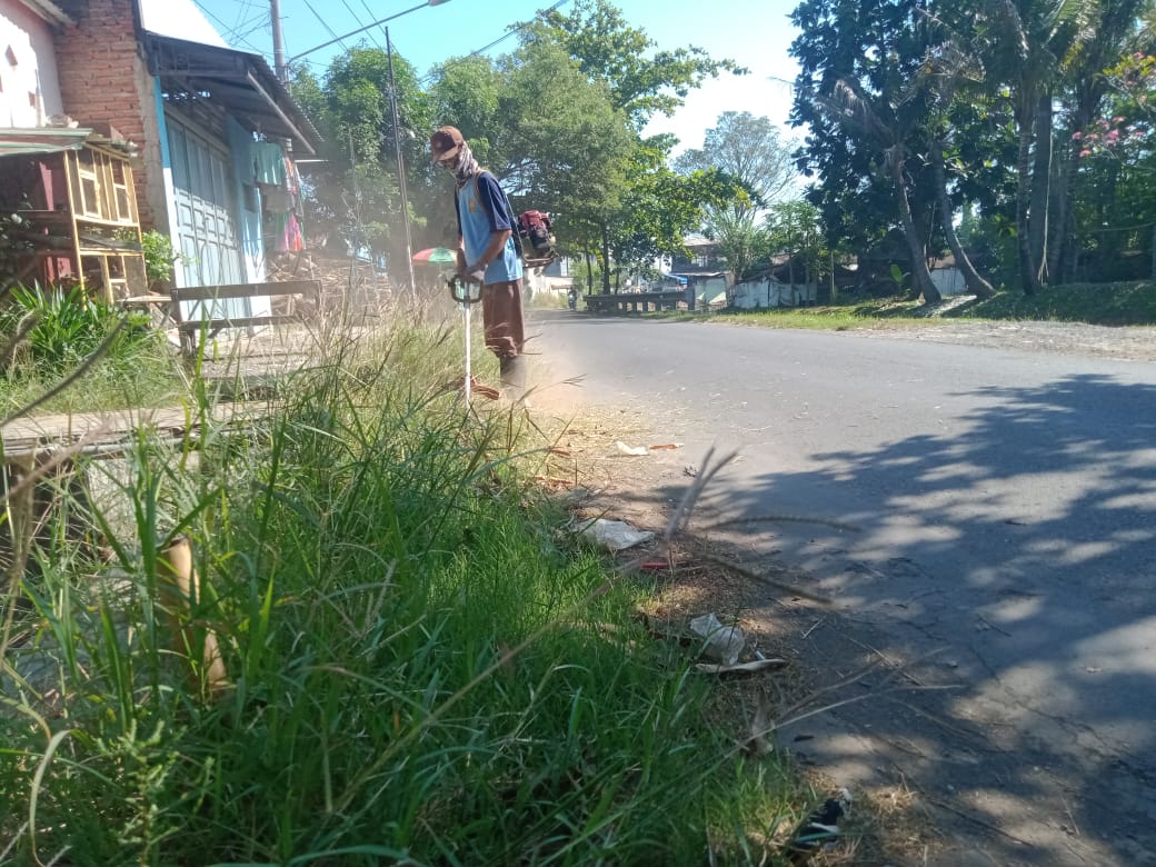 BABAT RUMPUT DI JALAN PELITA 4