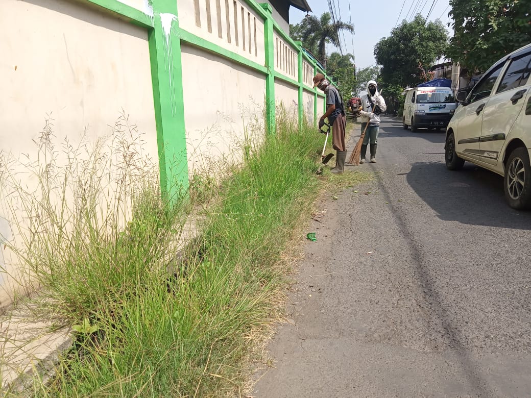 BABAT RUMPUT DI JALAN PELITA 1