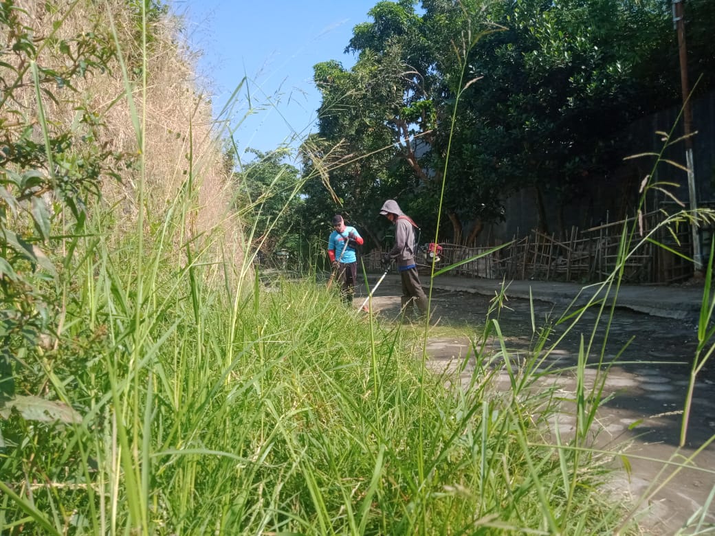 BABAT RUMPUT DI JALAN STADIUN HOEGENG