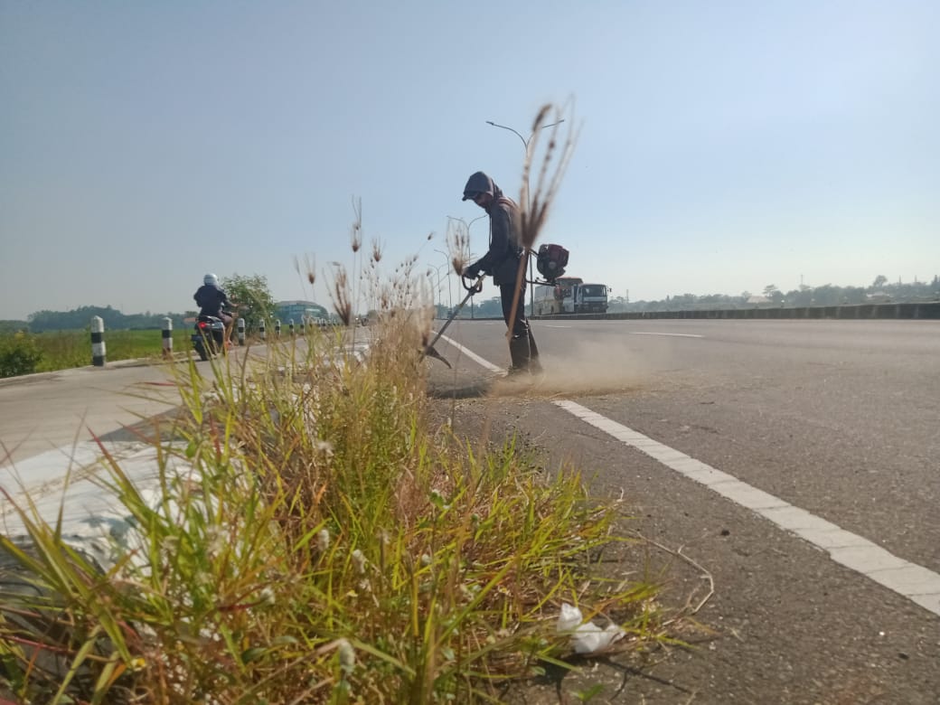 BABAT RUMPUT JALAN ACHMAD ALF ARSLAN DJUNAID