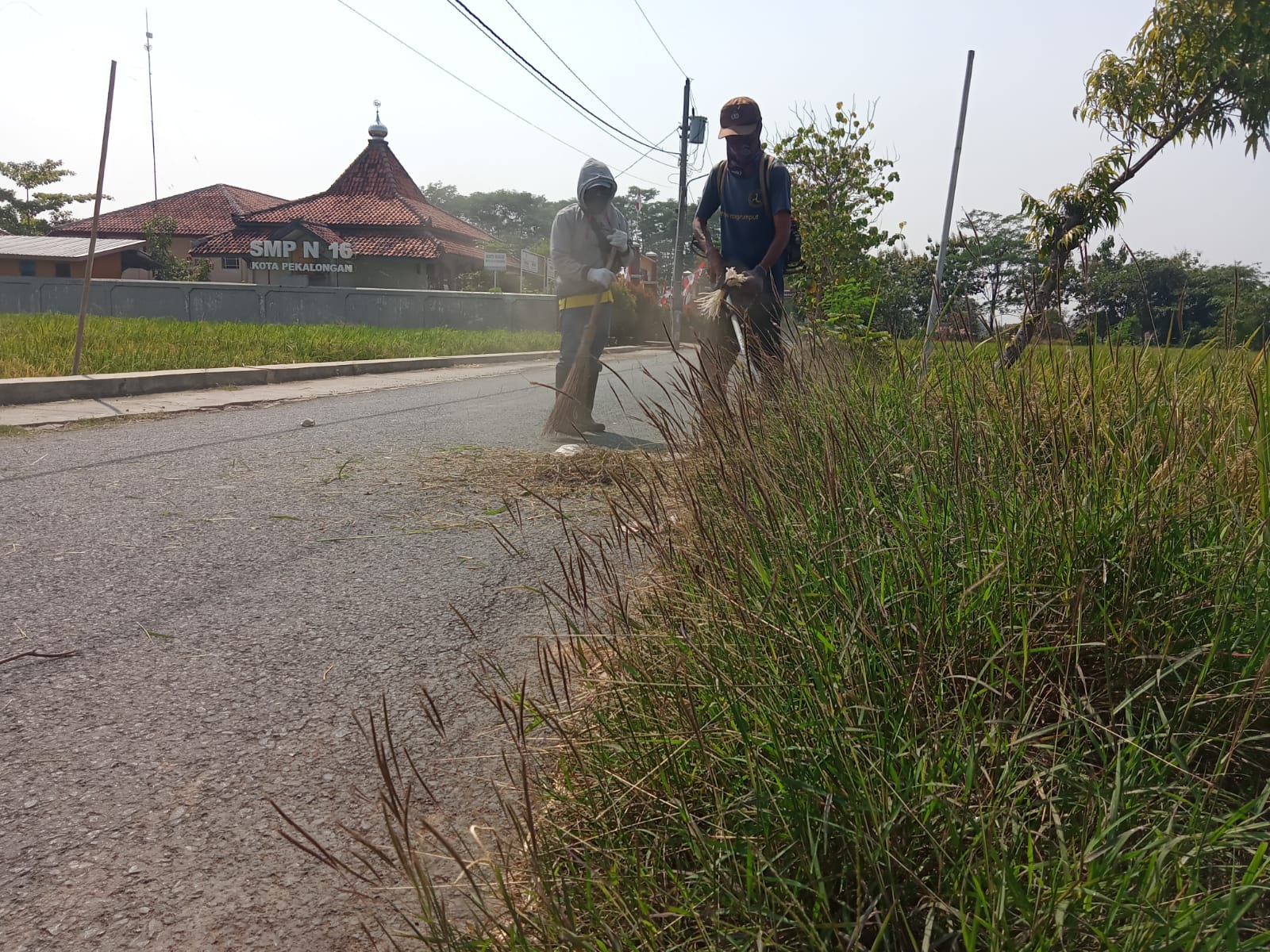 BABAT RUMPUT DI JALAN AMPERA