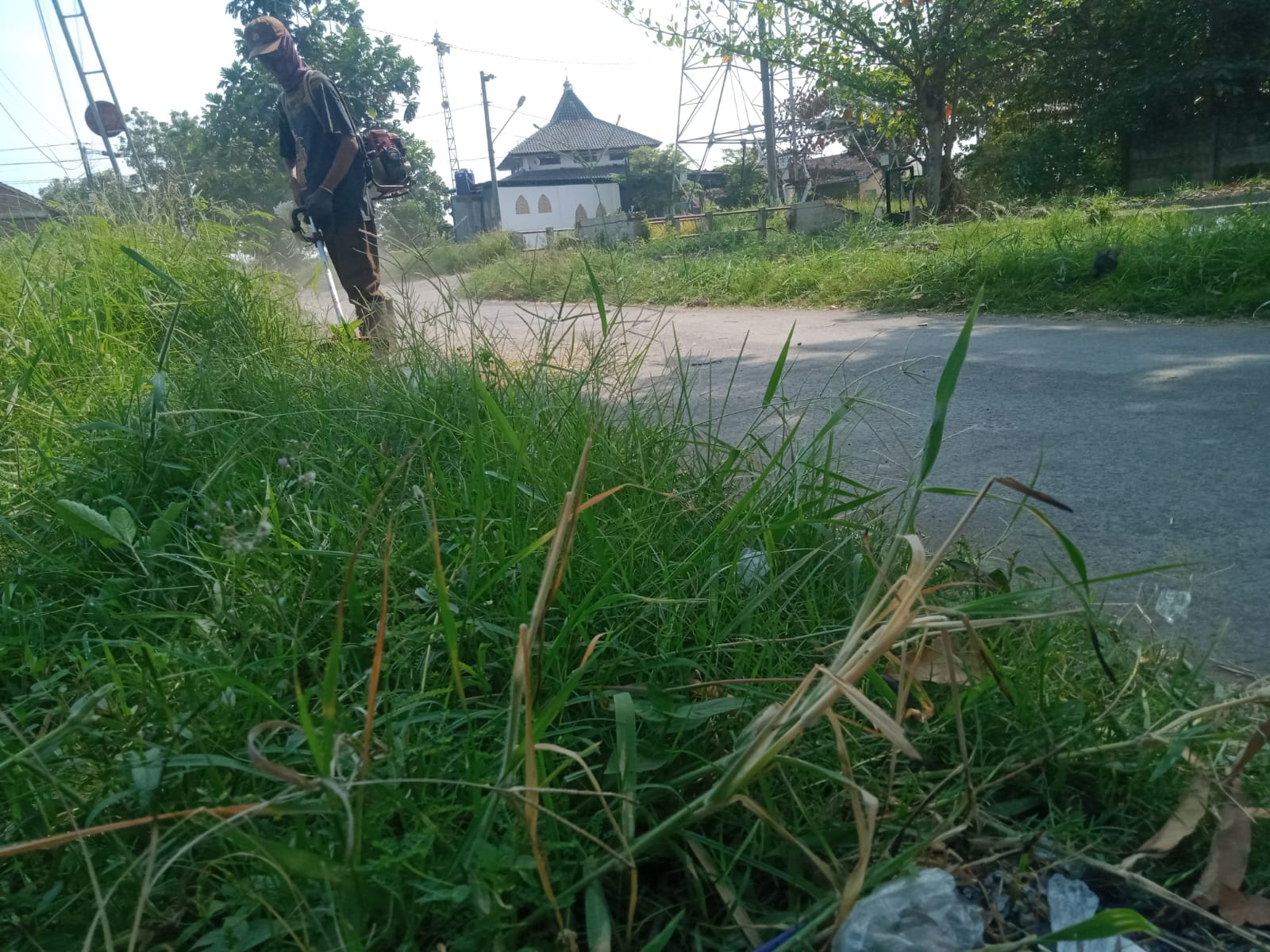 BABAT RUMPUT DI JALAN BUMIREJO DAMAI 2