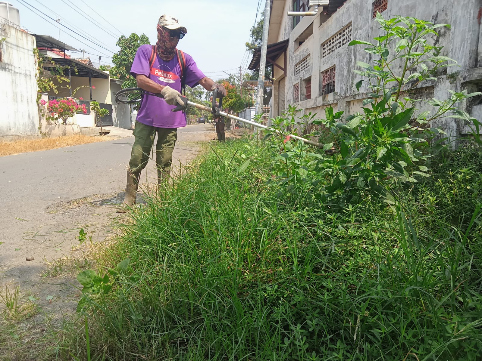 BABAT RUMPUT DI JALAN MERBABU