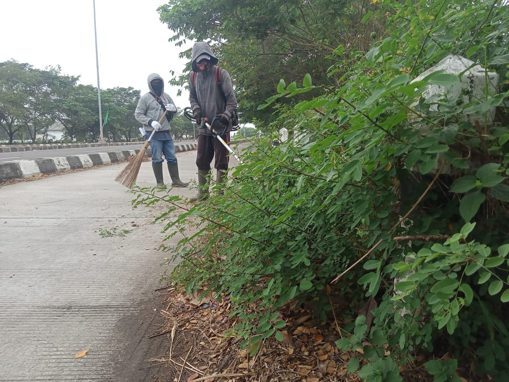 BABAT RUMPUT DI JALAN ALF ARSLAN DJUNAID