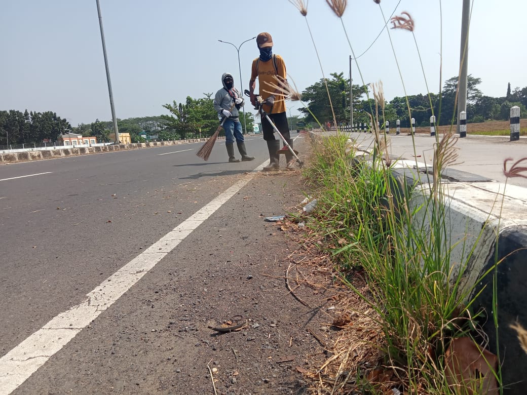 BABAT RUMPUT JALAN ALF ARSLAN DJUNAID