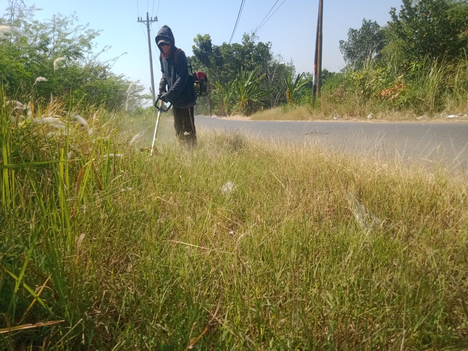 BABAT RUMPUT JALAN IR. SUTAMI