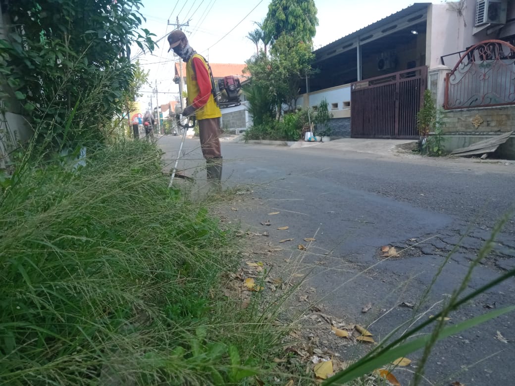 BABAT RUMPUT DI JALAN PELITA I
