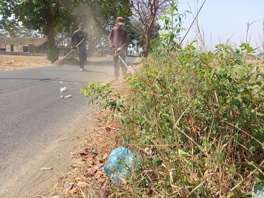 BABAT RUMPUT JALAN TRIKORA LANJUTAN