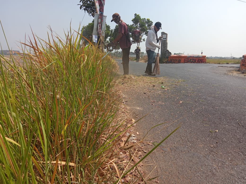 BABAT RUMPUT JALAN TRIKORA