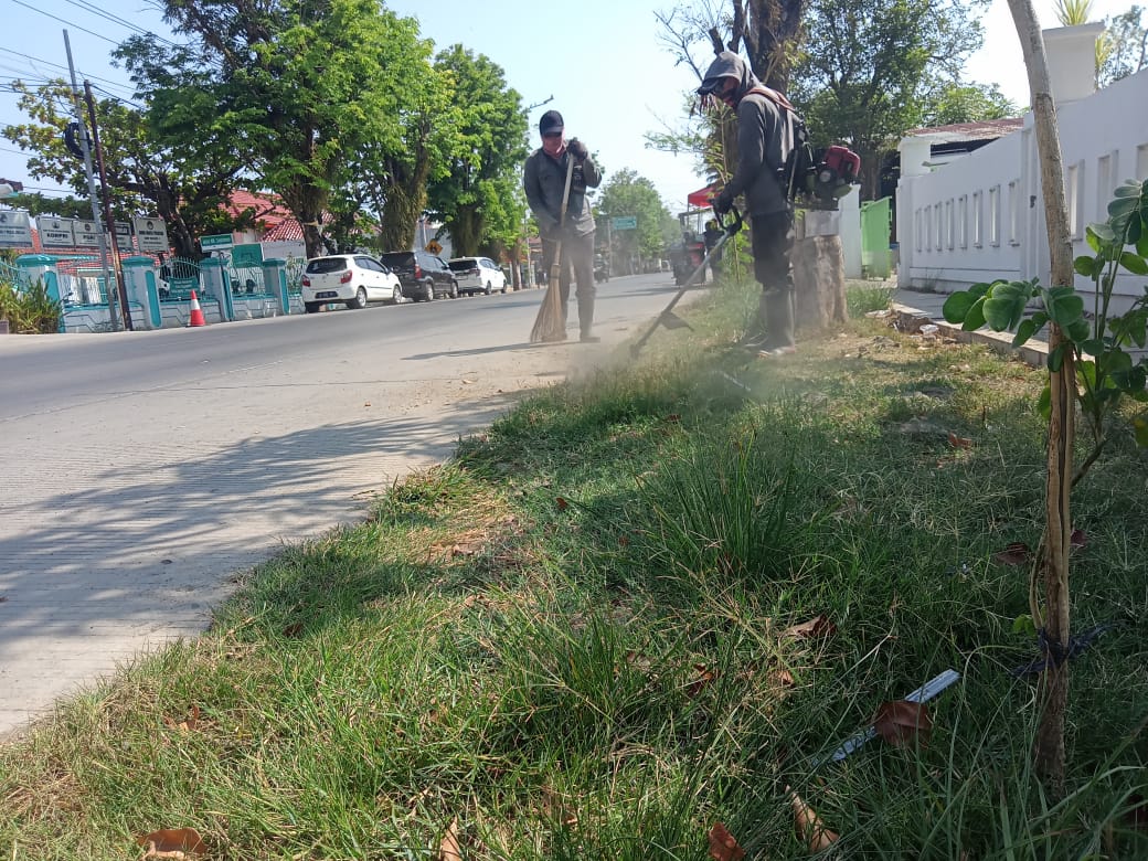 BABAT RUMPUT DI JALAN WR. SUPRATMAN